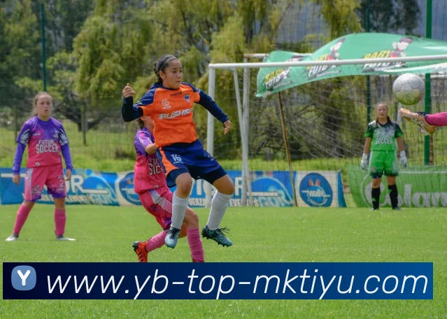 App Interface Preview