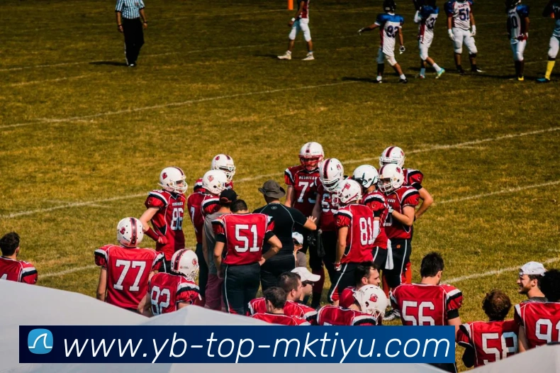 MK体育APP 封面图